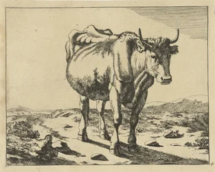 Vaca de pie, vista de frente Ganado (título de la serie)