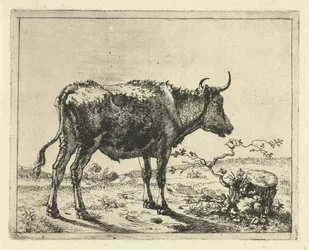 toro, posición, por, tocón de árbol bovinos y porcinos