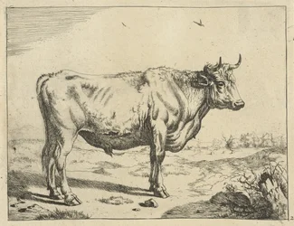 Toro, de pie a la derecha, con pájaros Ganado (título de la serie)
