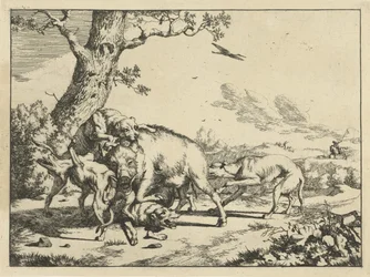 Jabalí atacado por cuatro perros de caza Perros de caza (título de la serie)
