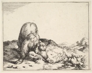 de El conjunto de los osos
