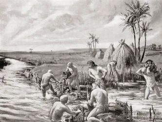 Primeros colonos en Babilonia drenando los pantanos mediante la construcción de una presa, de la Historia de las Naciones de Hutchinson, pub.1915