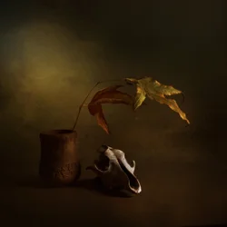 Naturaleza muerta de otoño oscuro