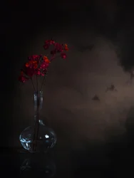 Flores rojas melancólicas
