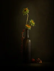 Naturaleza muerta con girasol melancólico