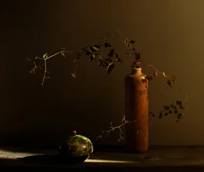 Naturaleza muerta rústica con mariquita