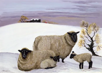 Ovejas en invierno