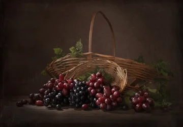 Uvas de viñedo en abundancia