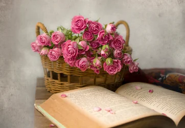 Una lectura acogedora entre rosas