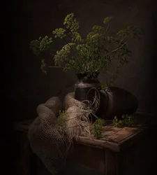 Naturaleza muerta botánica oscura