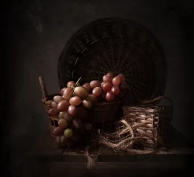 Uvas «Dark Harvest»