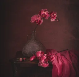 Naturaleza muerta con orquídea oscura