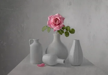 Naturaleza muerta con una delicada rosa rosa