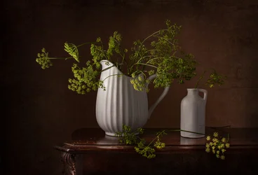 Naturaleza muerta con flores de eneldo