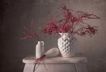 Elegante naturaleza muerta con bayas