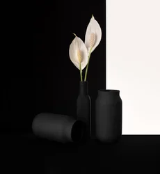 Elegante contraste floral