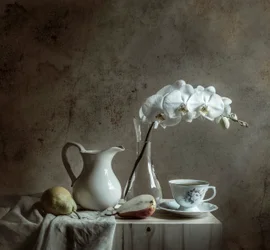 Elegante naturaleza muerta con orquídeas