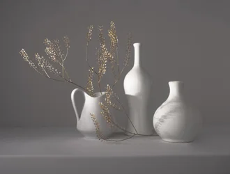 Naturaleza muerta botánica minimalista