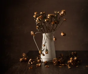 Naturaleza muerta con rosas secas de Moody