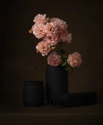 Rosas rosas melancólicas
