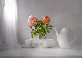 Té de rosas matutino