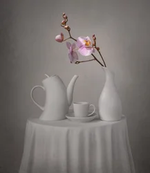 La hora del té de la orquídea rosa