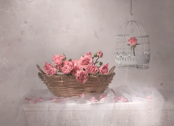 Rosas rosas y una jaula de pájaros