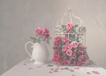 Rosas y jaula de pájaros