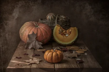 Calabazas rústicas de otoño