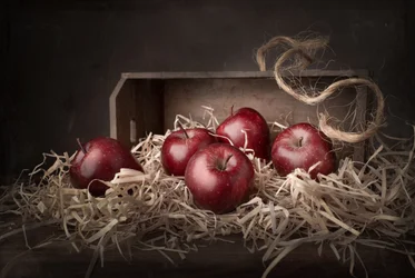 Manzanas «Rustic Harvest»