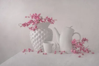 Naturaleza muerta en rosa suave
