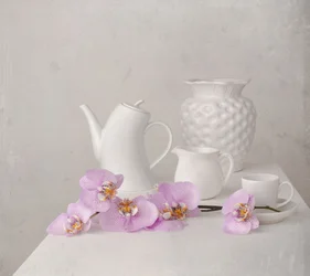 Naturaleza muerta con orquídea blanca