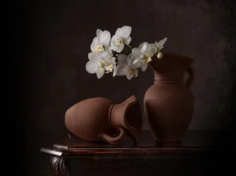 Naturaleza muerta con orquídeas blancas