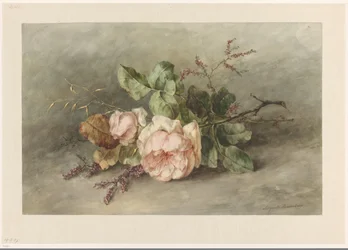 Rozen