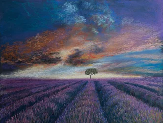 Campos de lavanda de Normandía