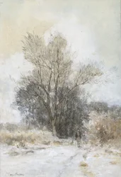 Senderista en la nieve al borde de un bosque