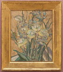 Iris y calas
