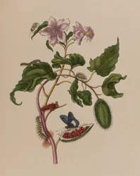 Ilustración de 