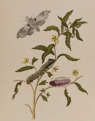 Ilustración de 