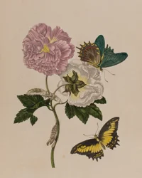 Ilustración de 