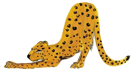 Big Cat Stretch, 2020 (acuarela sobre papel)
