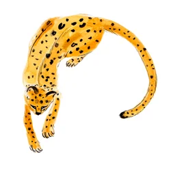 Leopardo rizado, 2020 (acuarela sobre papel)