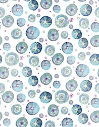 Sea Urchin Blue, 2020 (acuarela sobre papel)