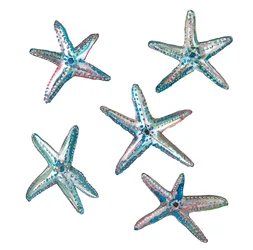 Star Fish, 2020 (acuarela sobre papel)