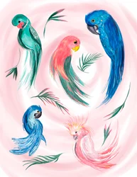 Espiral de pájaros tropicales, 2019 (acuarela sobre papel)