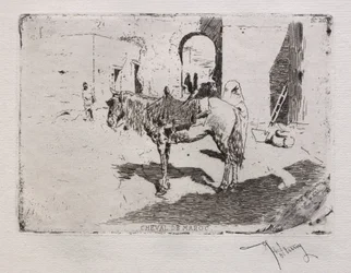 Caballo de Marruecos