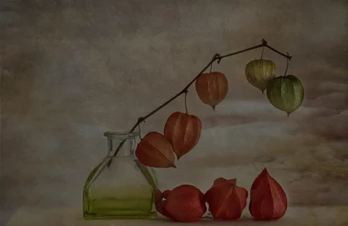 Linterna de otoño tranquila