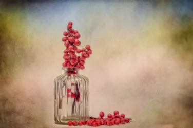 Naturaleza muerta rústica con frutos del bosque