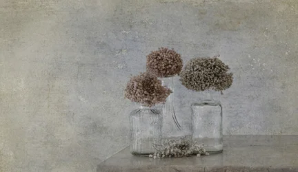 Naturaleza muerta rústica con flores secas