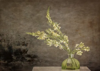 Naturaleza muerta floral rústica
